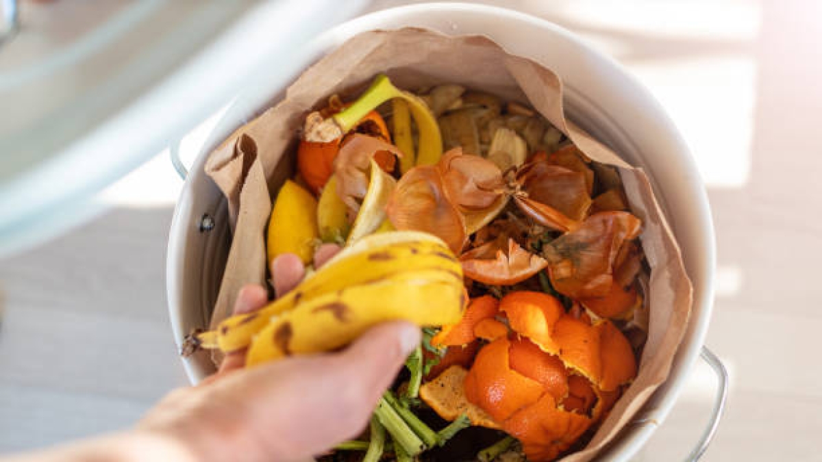 Le bucce di frutta e verdura? Sono un tesoro di composti protettivi: ecco come riutilizzarle in sicurezza