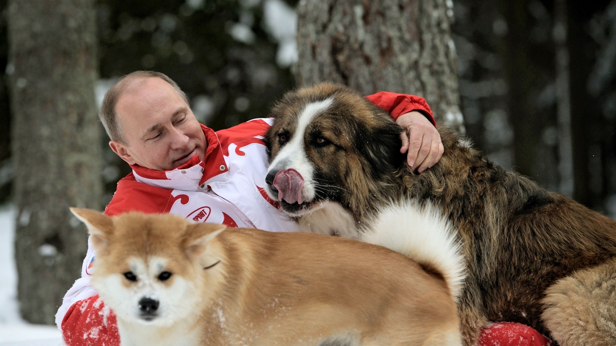 Morta Yume, la cagna di Putin simbolo dell’amicizia perduta tra Russia e Giappone