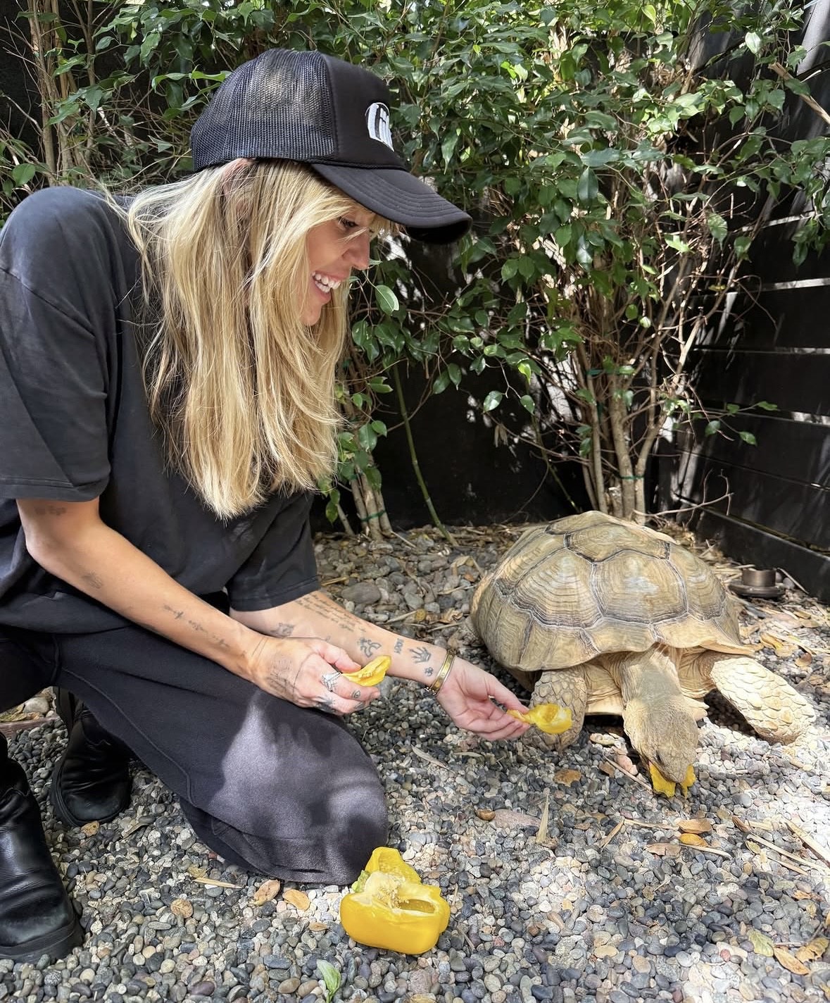 Miley Cyrus riceve la stella sulla Hollywood Walk of Fame e va in un rifugio per adottare una tartaruga di vent’anni