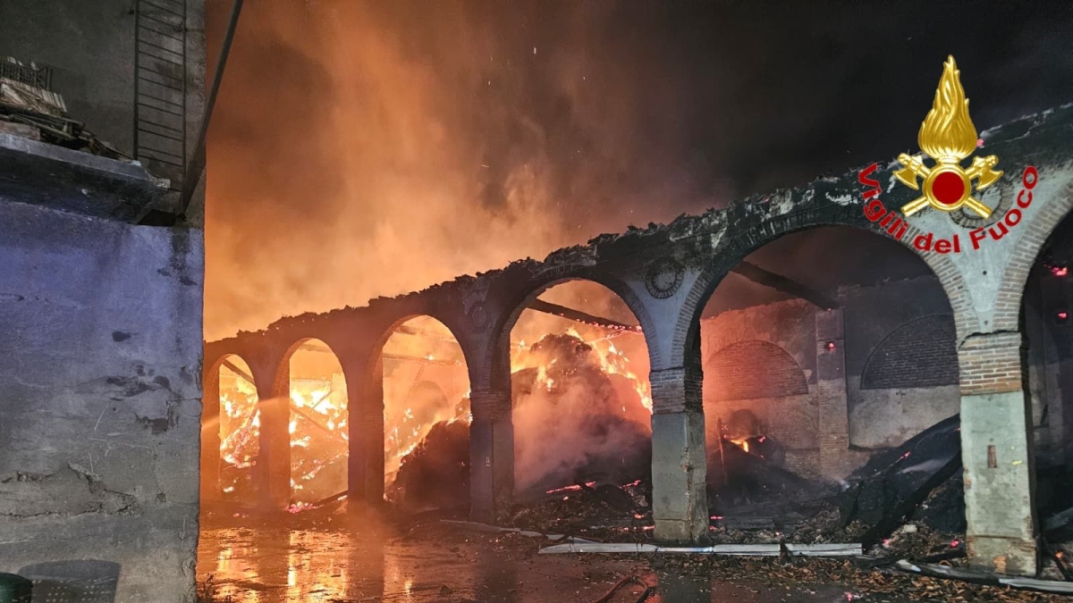 San Giuliano Milanese, cascina prende fuoco durante il nubifragio, salvate 510 vacche da latte: «È stata colpita da un fulmine»