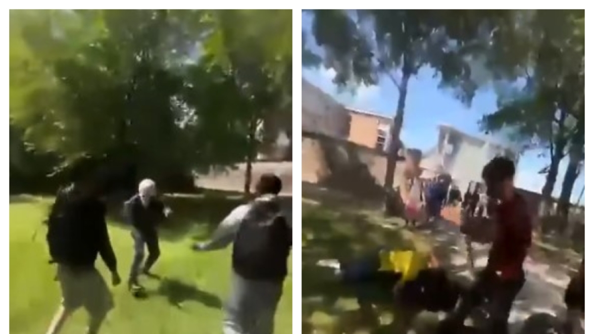 Professori aggrediti a Parma, indagati e perquisiti i tre studenti. Ma uno di loro denuncia i docenti: «C'è un altro video, si vede quello che è successo prima»