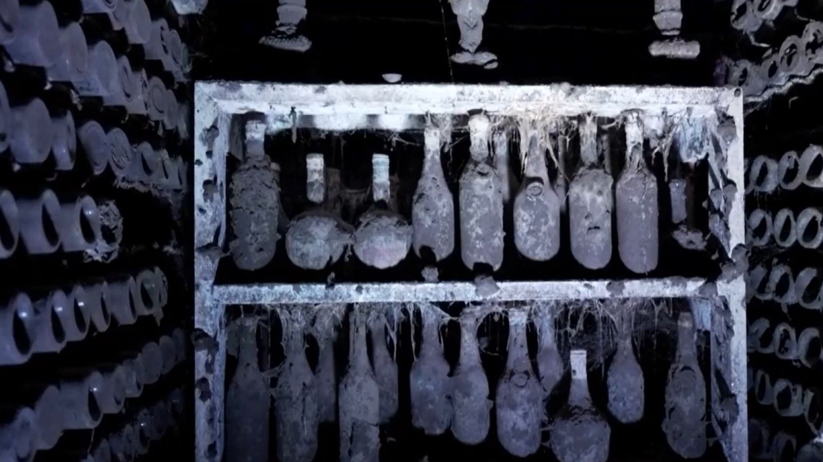 Svelata a Tbilisi la cantina di Stalin: 40mila bottiglie di pregio francesi e georgiane, alcune di inizio '800, ora andranno all'asta