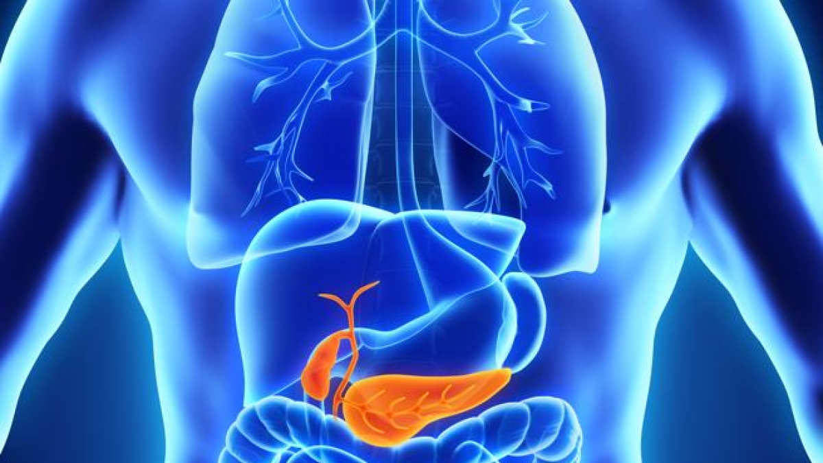 Tumore del pancreas, un nuovo farmaco rivoluziona le cure