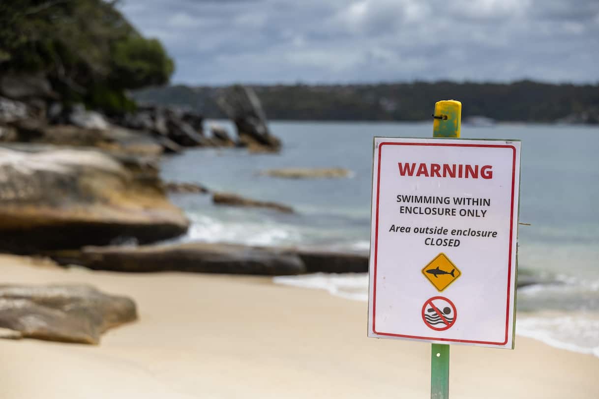 Australia, uomo muore attaccato da uno squalo al largo di Perth