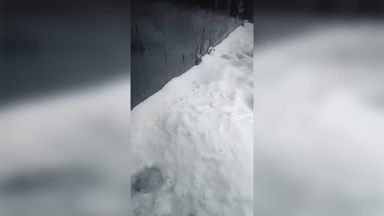 Neve a maggio: maltempo anomalo e fiocchi in quota in Emilia-Romagna. Quando torna il sole