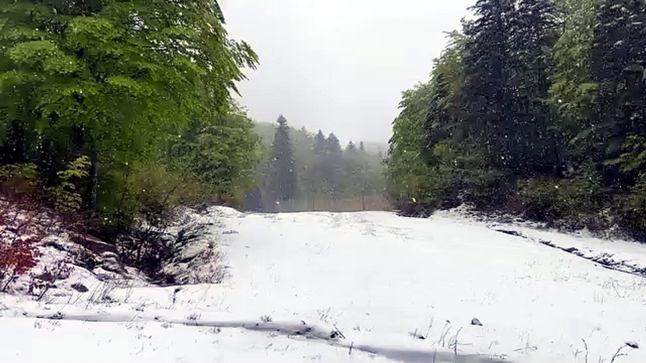 Dopo neve e freddo, l’anticiclone scalda i motori: termometri in risalita, le previsioni meteo della prossima settimana