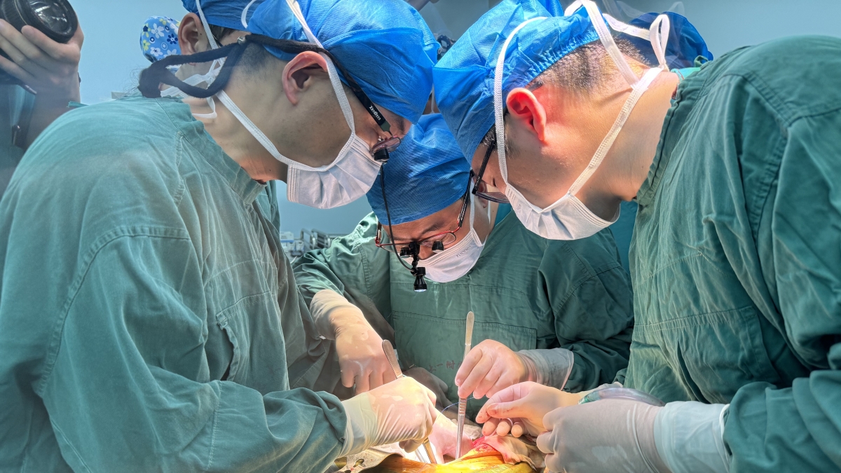 In Cina, effettuato primo doppio xenotrapianto al mondo. Negli Usa, via libera della Fda al primo trial clinico per gli xenocuori