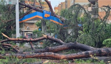 Tromba d'aria a Montesacro, alberi caduti, danni e traffico impazzito in tutta Roma nord