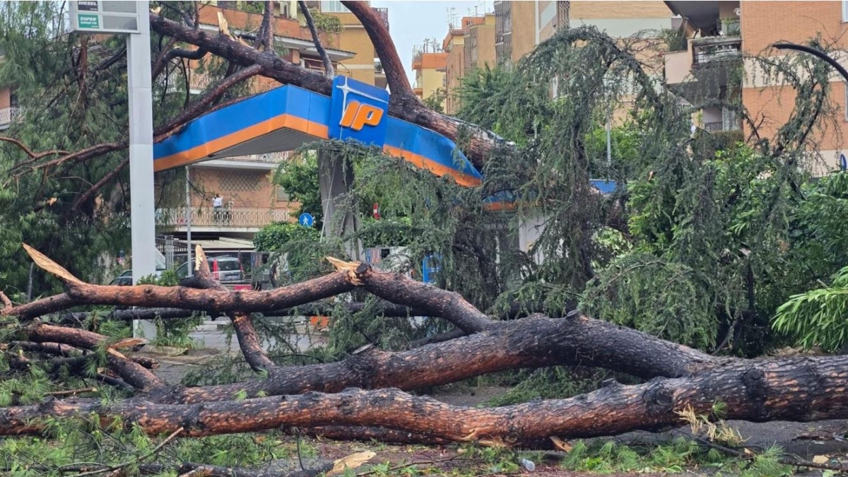 Tromba d'aria a Montesacro, alberi caduti, danni e traffico impazzito in tutta Roma nord