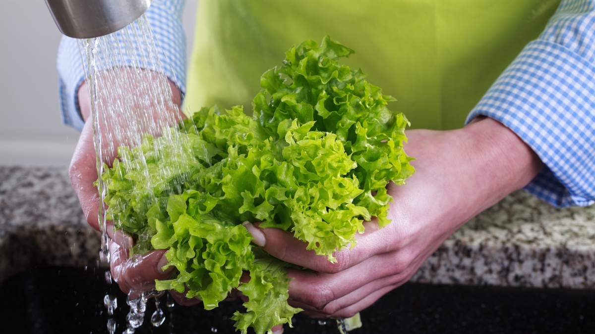 Insalata (anche quella in busta): come pulirla bene per evitare contaminazioni. L'acqua? A volte non basta