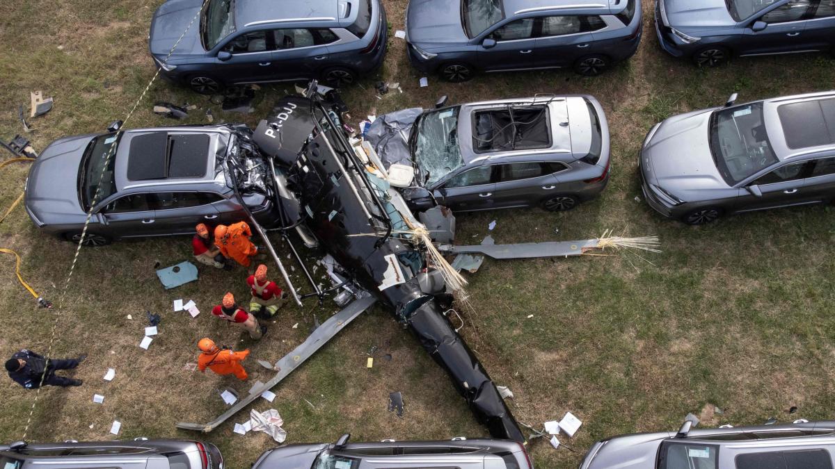 Oliver Tree morto: incidente tra elicotteri in Brasile, video