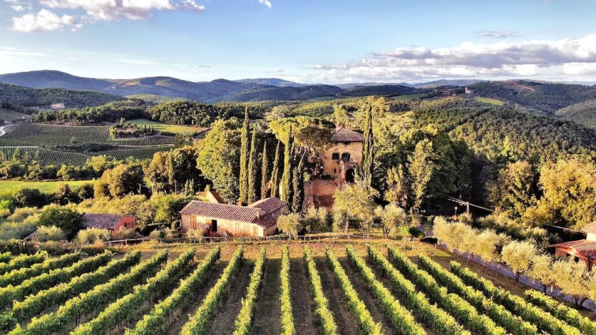 Chianti, un cinese in soccorso della fattoria Aiola: è la tenuta toscana degli amici russi di Medvedev