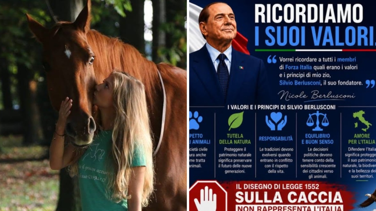 Caccia, l'appello di Nicole Berlusconi a Forza Italia: «Ricordatevi i valori di zio Silvio, troppe criticità nella riforma»