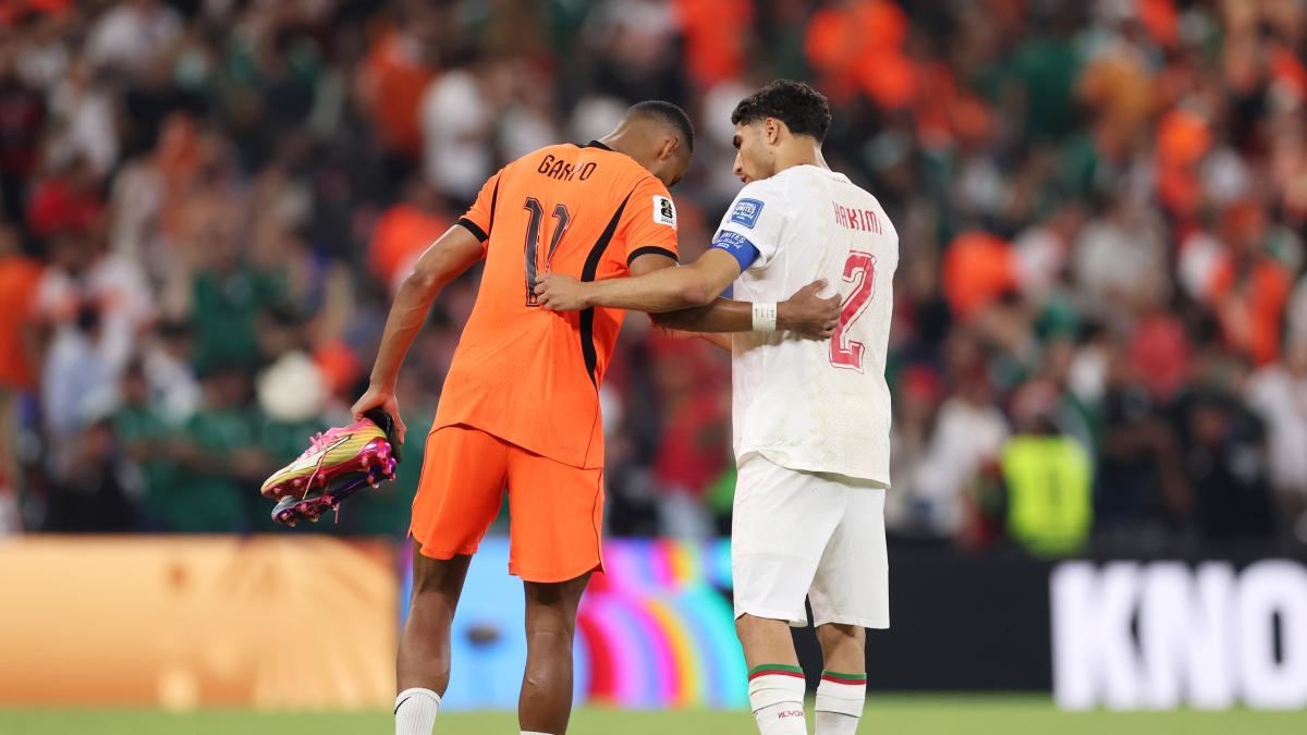 Cody Gakpo: dalle lacrime per il figlio perso al gol con l'Olanda