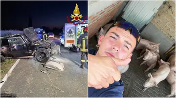 Paese sotto shock per la morte di Amedeo. Era l’anima della contrada, festa annullata. L’incidente fatale nella notte