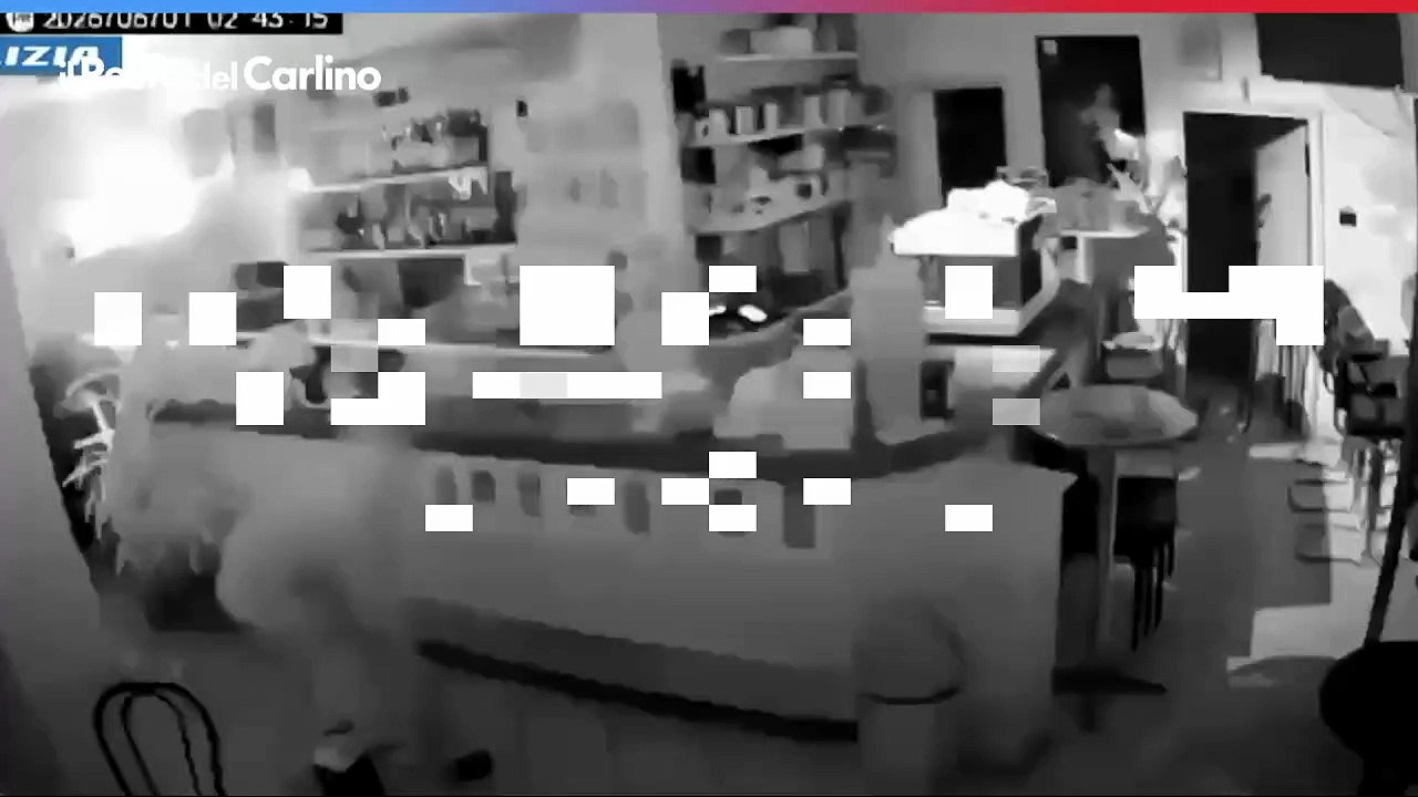 Bologna, fuga contromano a folle velocità dopo un furto in un bar, poi si schianta contro un muro: arrestato