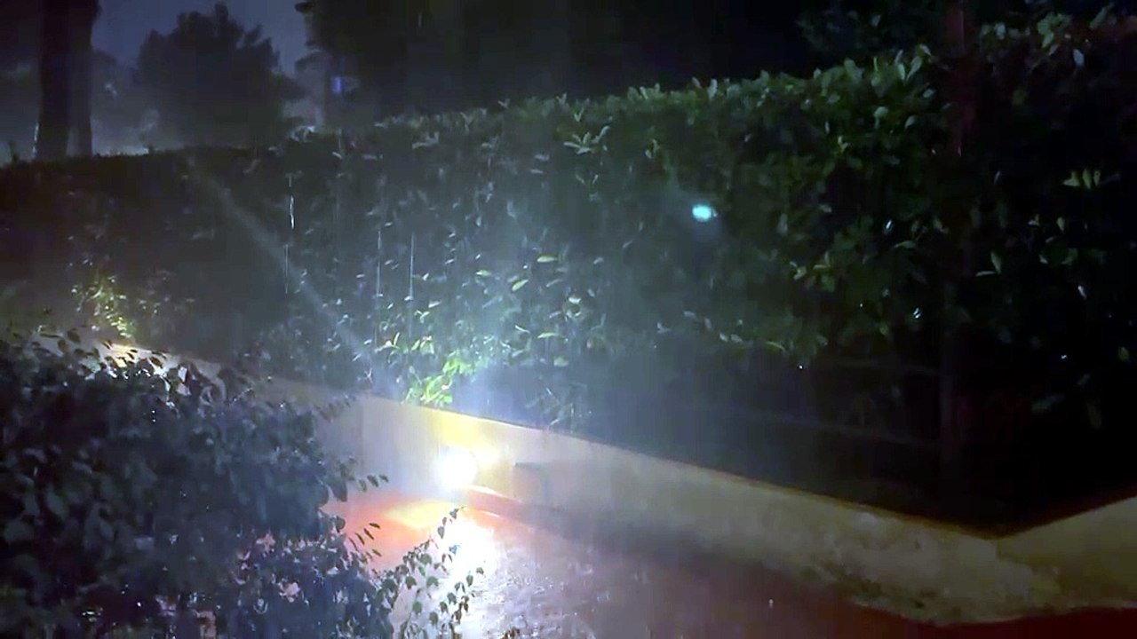 Maltempo in Toscana, si scatenano temporali e fulmini dopo i giorni torridi. Alberi caduti