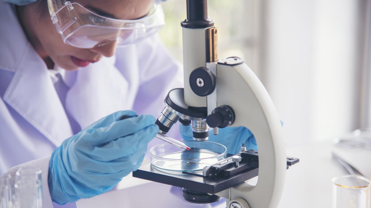 Tumori: un integratore molto comune rafforza le difese contro il cancro