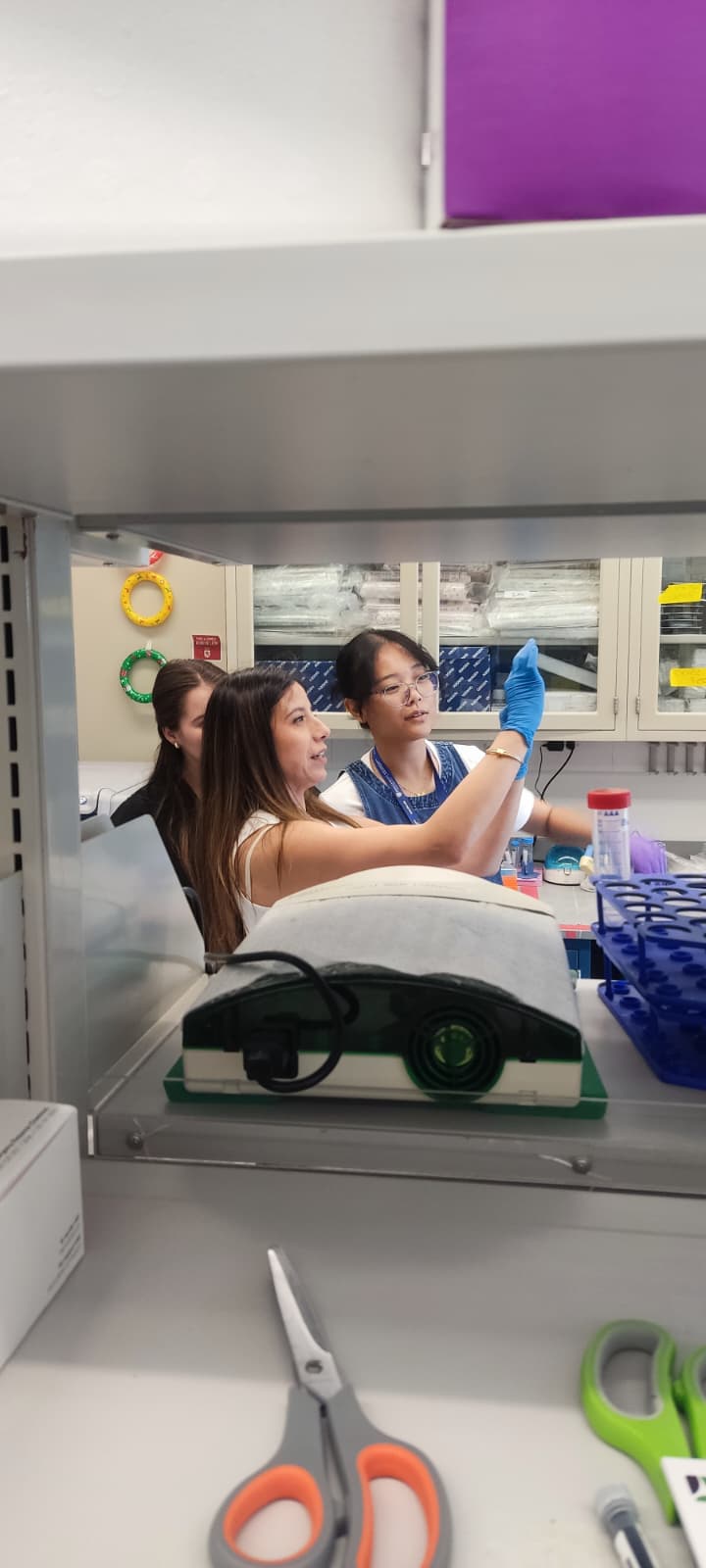 Sandra Misale, dalla Calabria alla Johns Hopkins per combattere la mutazione del gene Kras, considerato il cuore pulsante di molti tumori. «Abbiamo nuovi farmaci. Per il tumore al pancreas raddoppia la sopravvivenza»