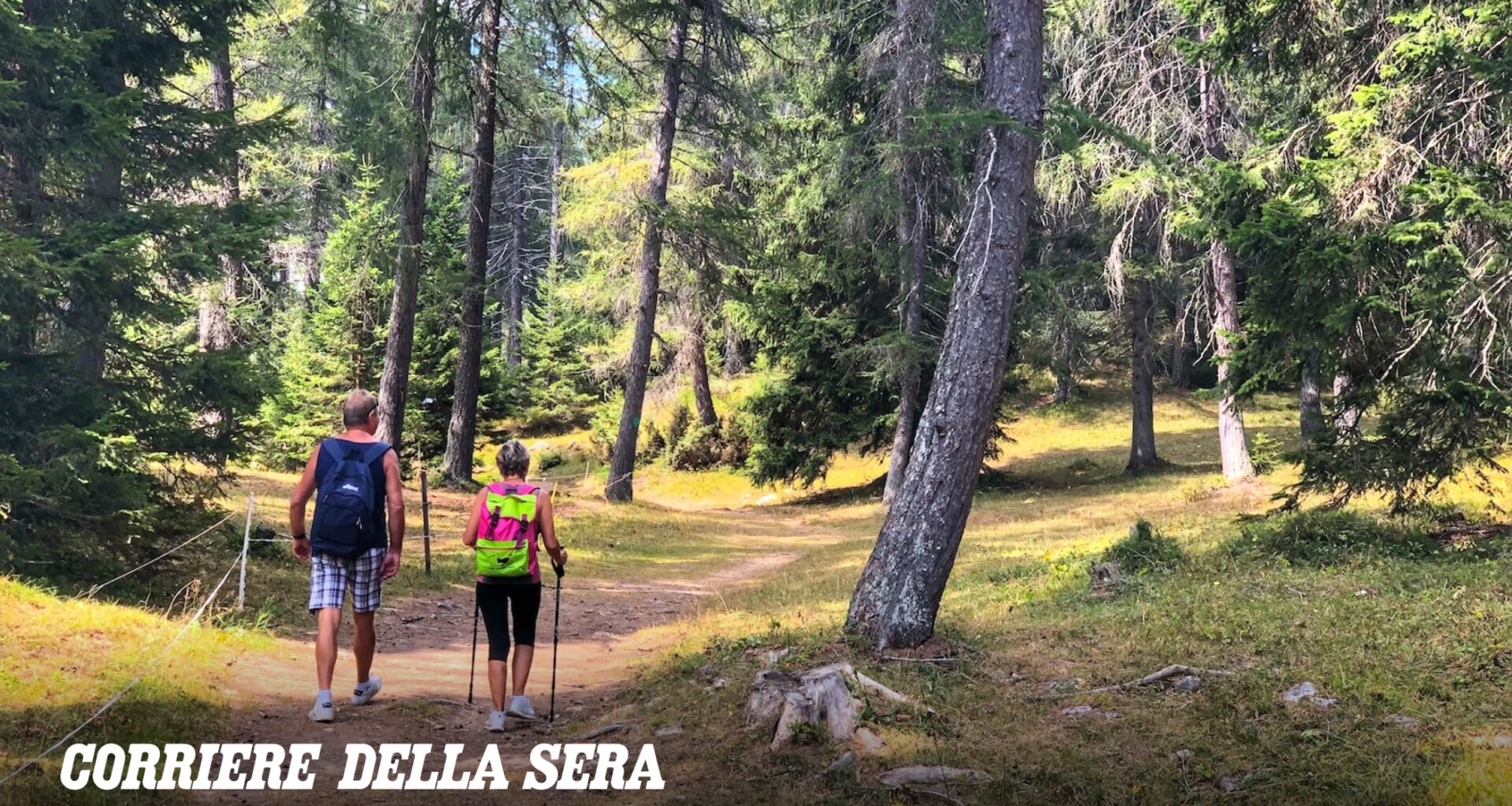 Zecche, finisce in coma per un morso dopo una camminata in montagna