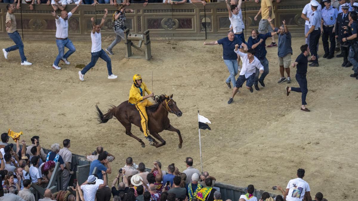Palio di Siena, la contrada dell'Aquila con Tittia ha vinto la corsa del 3 luglio 2026