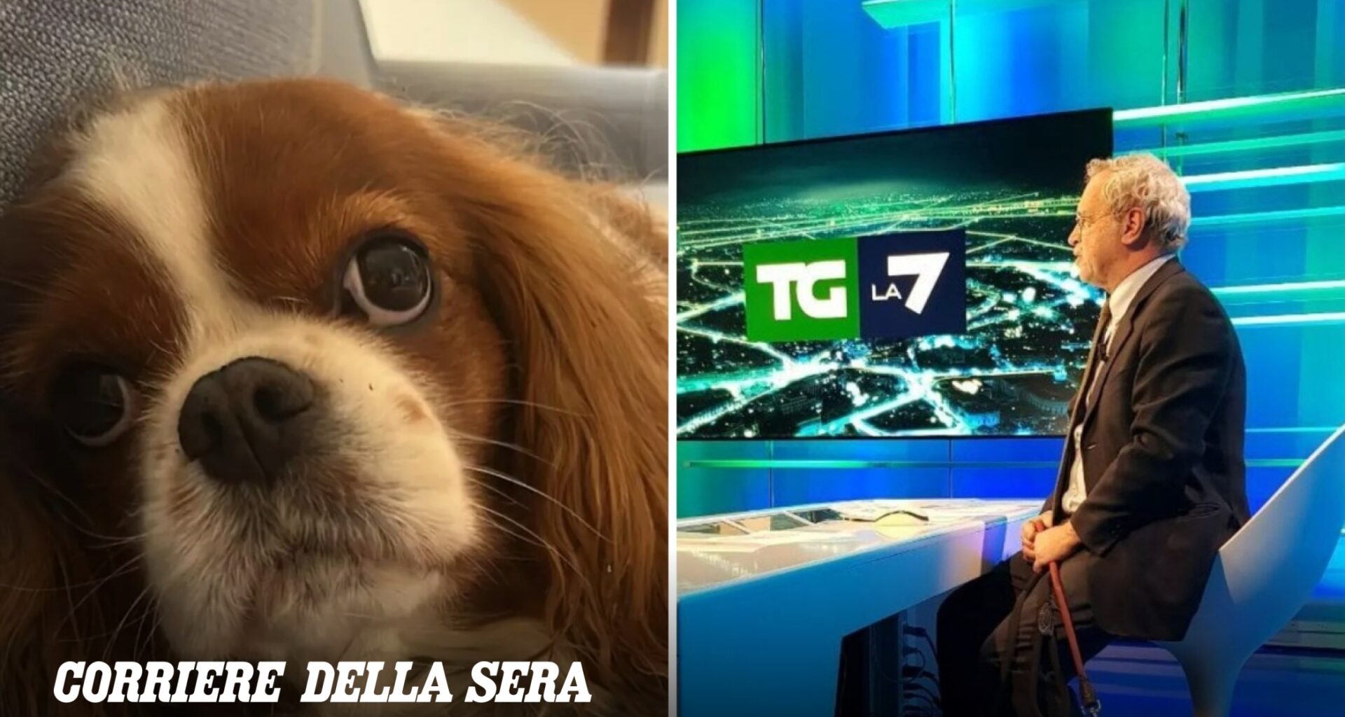 Enrico Mentana e Francesca Fagnani, il dolore per la morte della cagnolina Bice. «Tristezza profonda, lei era amore infinito»