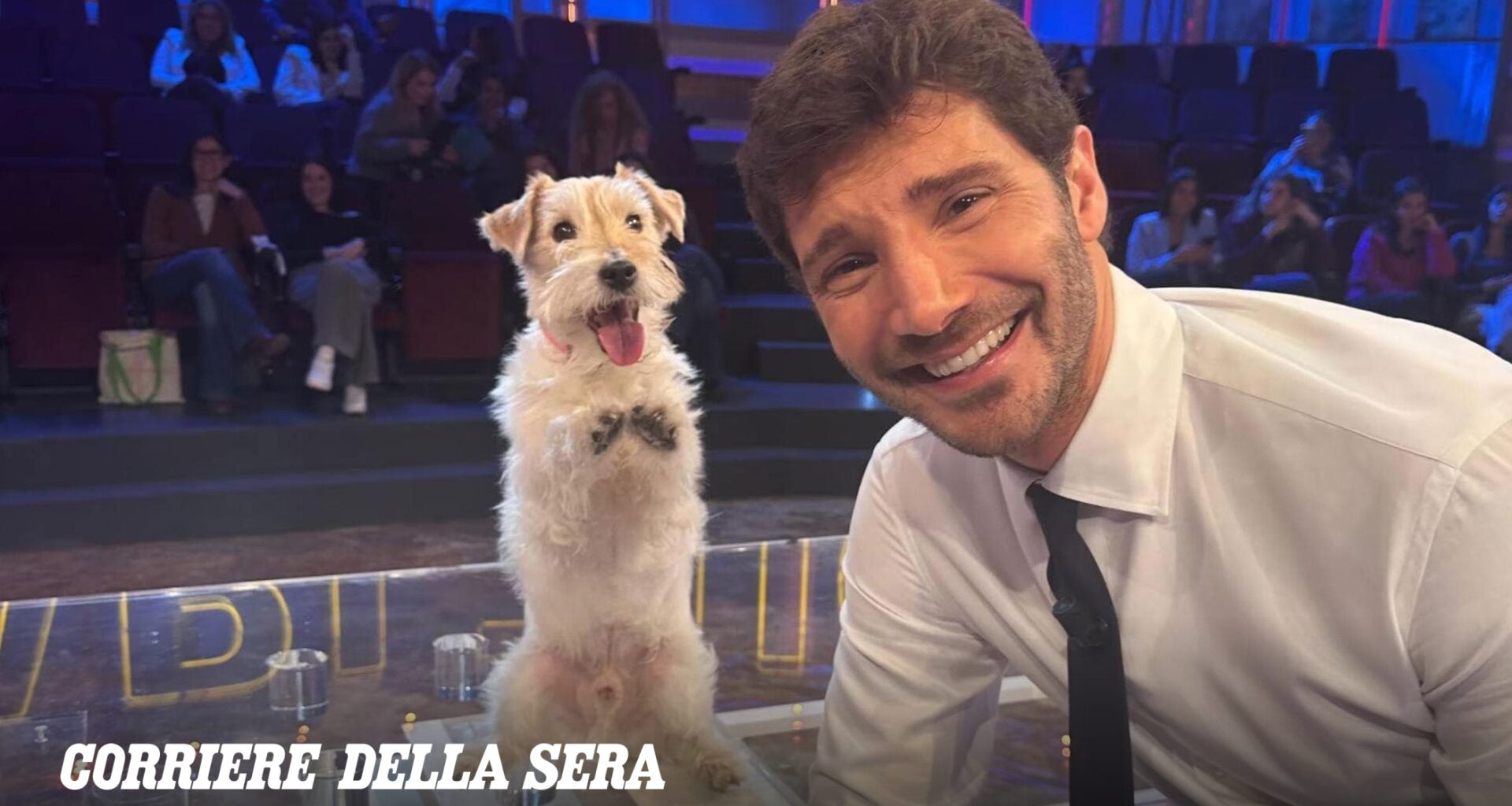 Gennarino va in pensione, il cane di Affari Tuoi non seguirà De Martino a Milano. «Il suo benessere prima di tutto»
