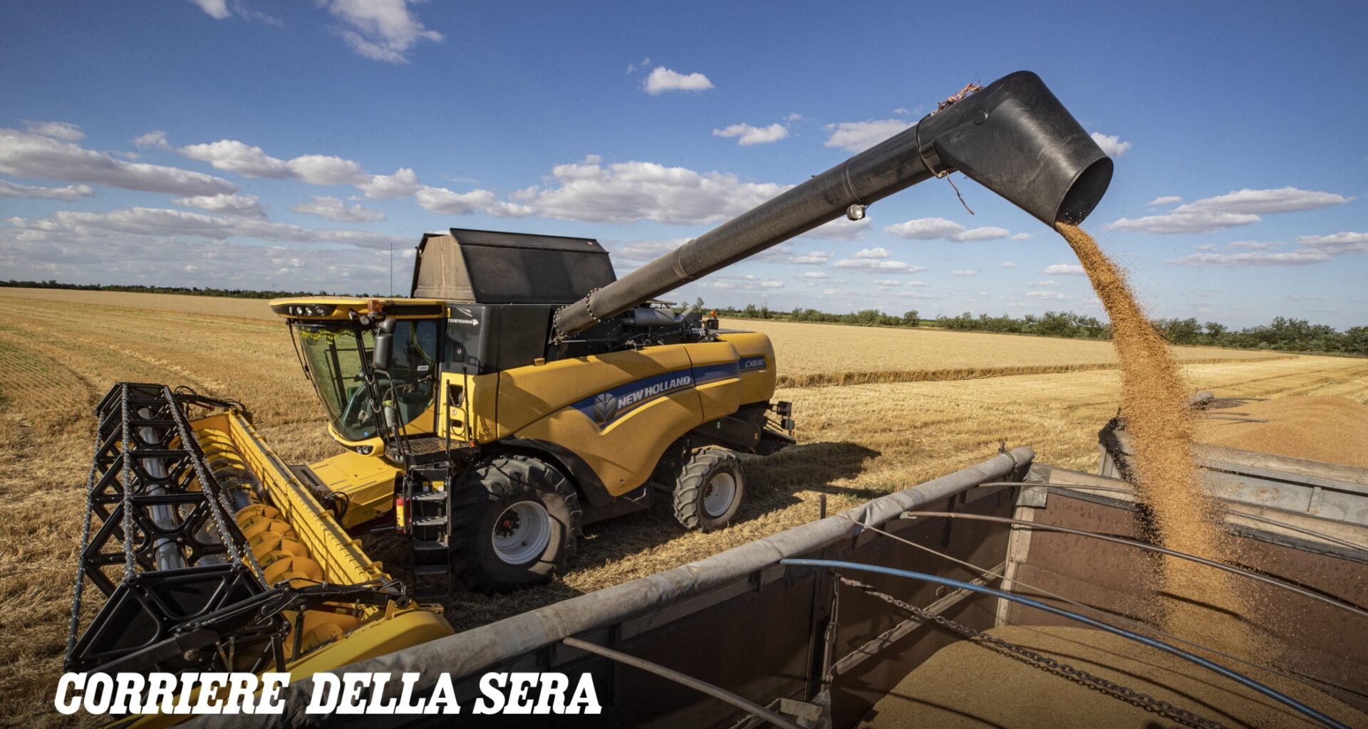 Off The Record | Il flusso di cereali in arrivo da Russia e Ucraina si sta fermando (ed è un problema anche per l'Italia): ecco perché