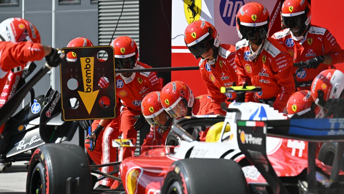 F1 Ungheria, errori Ferrari, Hamilton: "Dovevamo vincere"