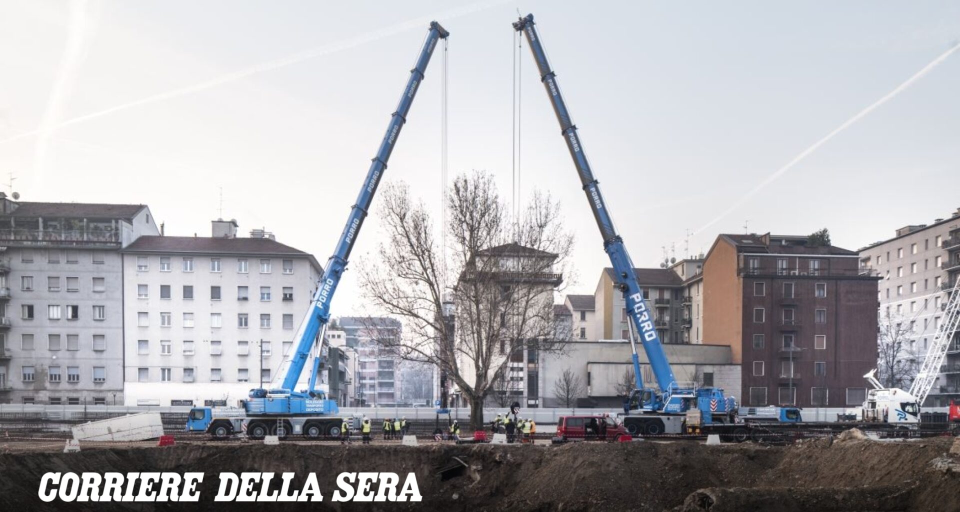 Milano, il volo del platano: in un documentario il trasloco con le gru giganti dell’albero di ottant'anni nella piazza-foresta della Beic