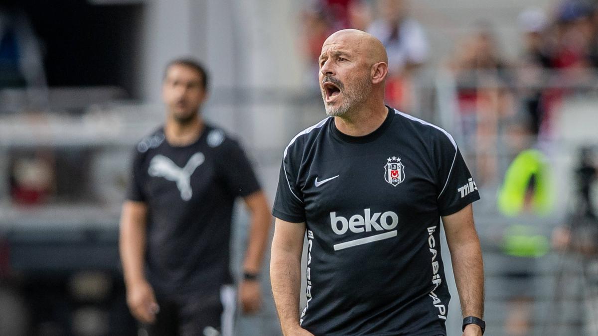 Vincenzo Italiano intervista: "Il Bologna, il Besiktas, il mercato e..."