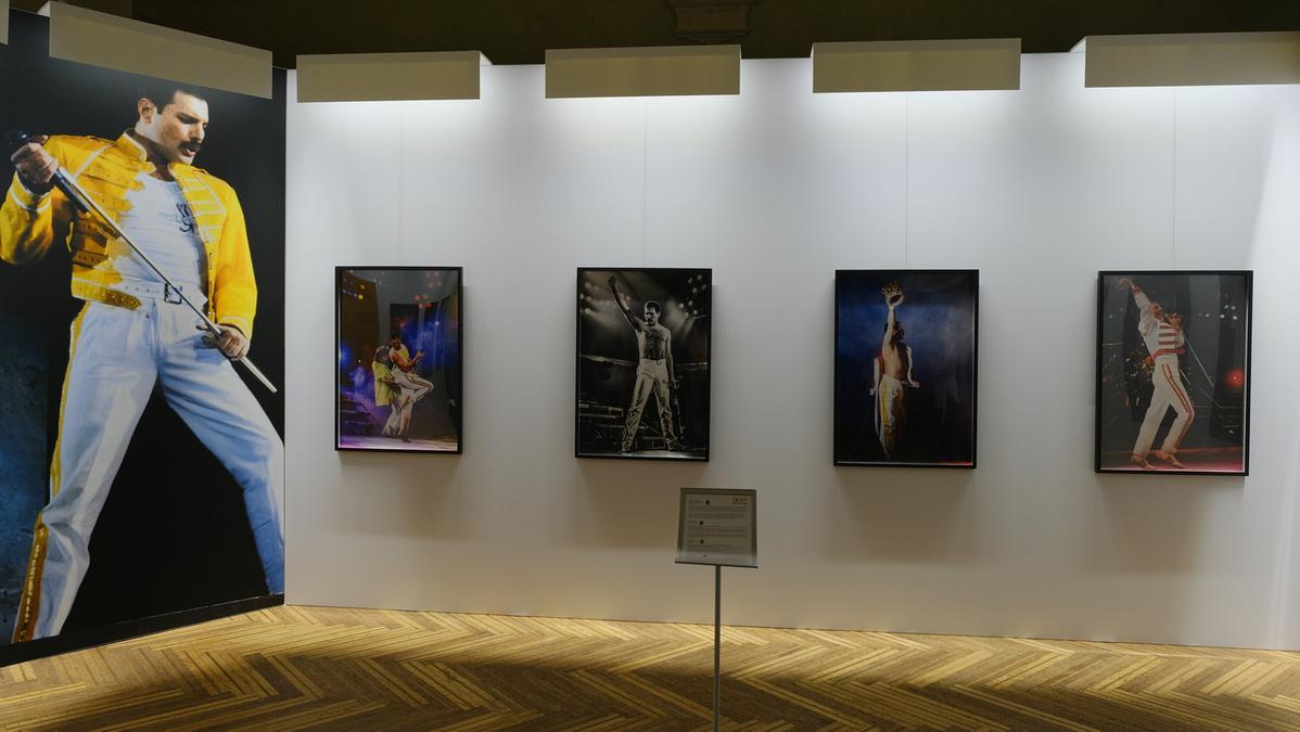 Queen in mostra a Bologna, le foto dell’ultimo magico tour: ecco 5 momenti che non si possono dimenticare