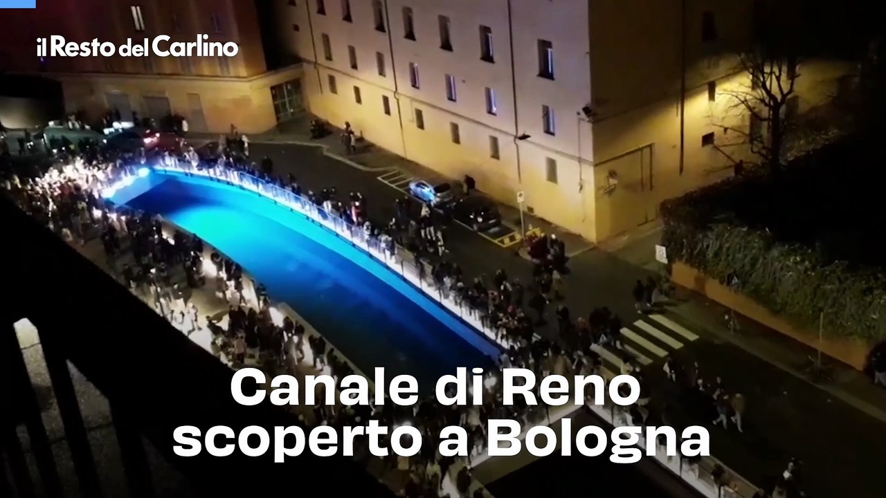 Invasione di fenicotteri (gonfiabili) nei canali di Bologna, le foto virali sui social: goliardata o gesto di protesta?