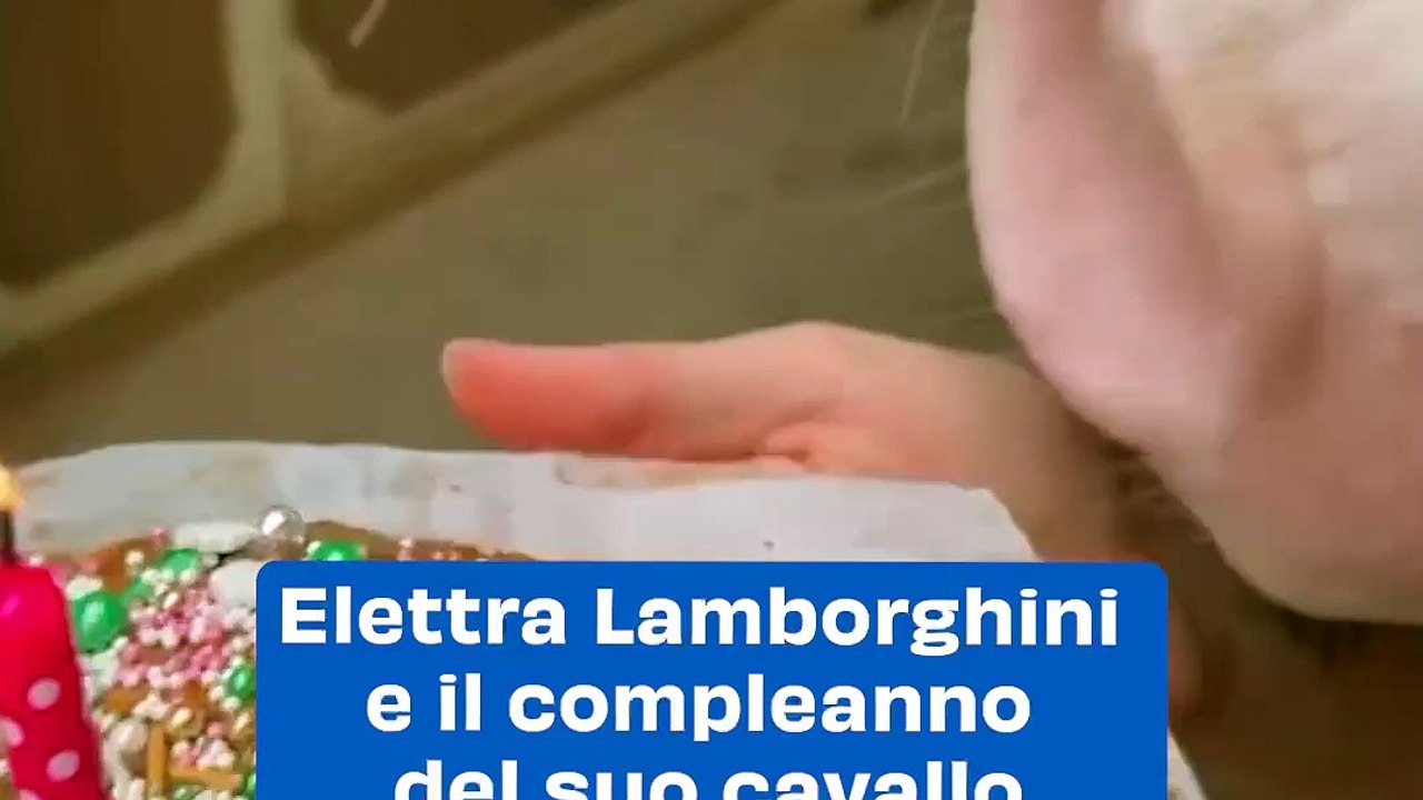 Dai jet privati ai puzzle, cos’è la felicità per Elettra Lamborghini e Afrojack: “Amiamo la nostra normalità”