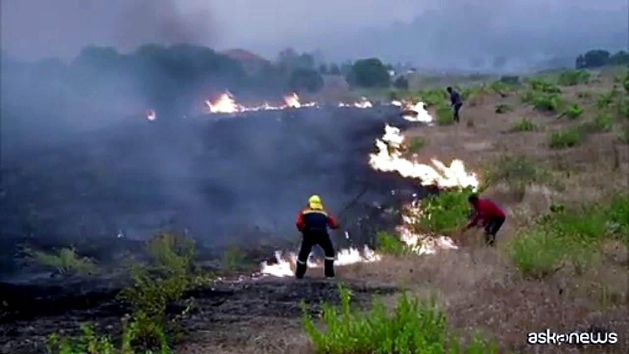 Incendi in Francia e Spagna, si valuta l’evacuazione di Bordeaux. Nuovo fronte vicino a Valencia e fiamme alle porte di Madrid