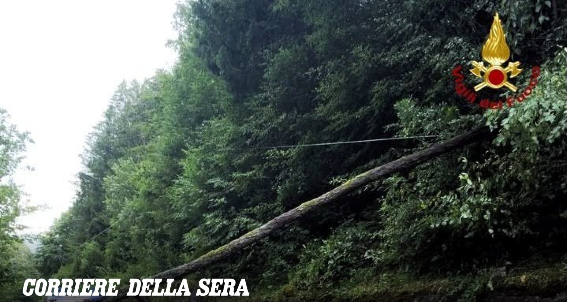 Maltempo in Veneto con grandine, pioggia e vento: alberi abbattuti, allagamenti, tetti scoperchiati e decine richieste di aiuto