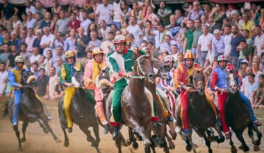 Palio di Siena del 16 agosto 2026: il decalogo per capirlo meglio
