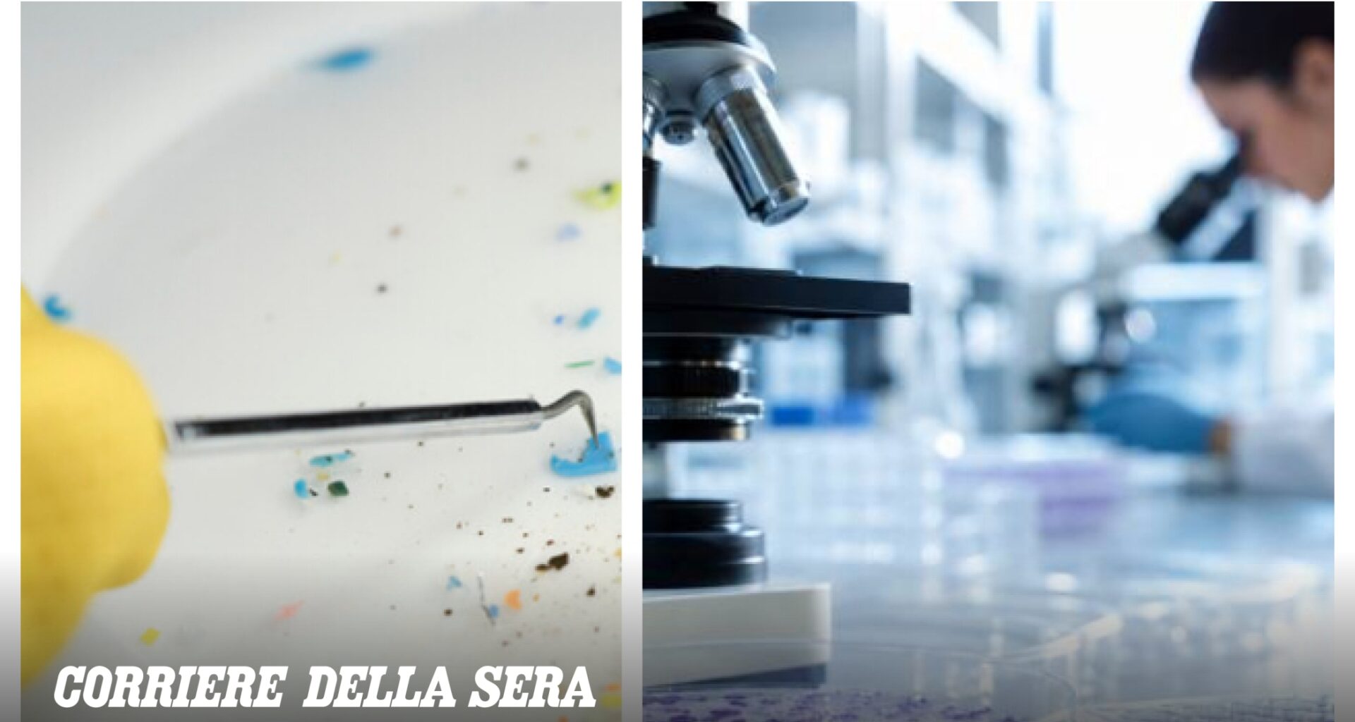 Lo studio italiano che svela il legame tra le microplastiche nel cervello e il rischio Sla: «Una nuova pista per capire la malattia»