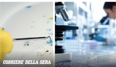 Lo studio italiano che svela il legame tra le microplastiche nel cervello e il rischio Sla: «Una nuova pista per capire la malattia»