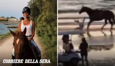 Belen viene sbalzata da cavallo e cade a terra sulla spiaggia di Rosolina: «Ho fatto un volo come Dragon Ball, ma ora sto bene»