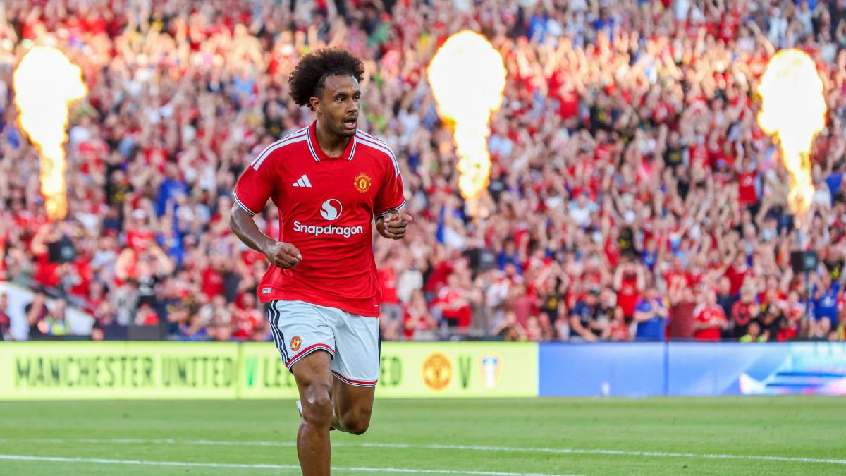 Fiorentina-Zirkzee, offerta allo United per bruciare la Juve: i dettagli