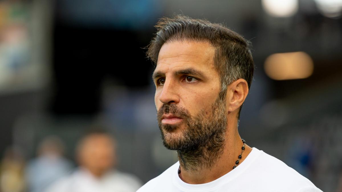 Como, conferenza stampa Fabregas: "Mi pento della litigata con Allegri"