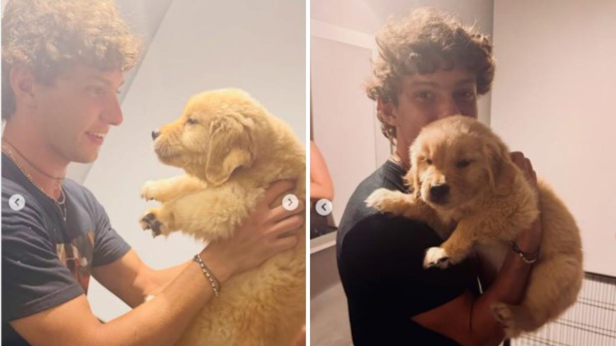 Kimi Antonelli e il cane Lola Bunny