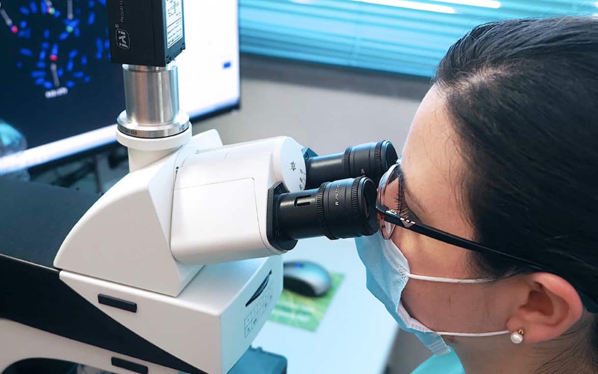 Longevità, i supercentenari sarebbero ricchi di cellule immunitarie anticancro: lo studio