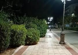 Marciapiede della villa mangiato dalle piante: gli occhi del lettore