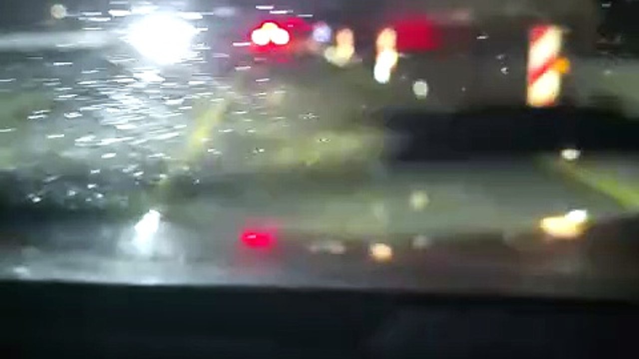 Nubifragio in Toscana, pioggia torrenziale e vento a 110 km/h. Decine di alberi caduti da Livorno a Firenze, rami in FiPiLi. La diretta