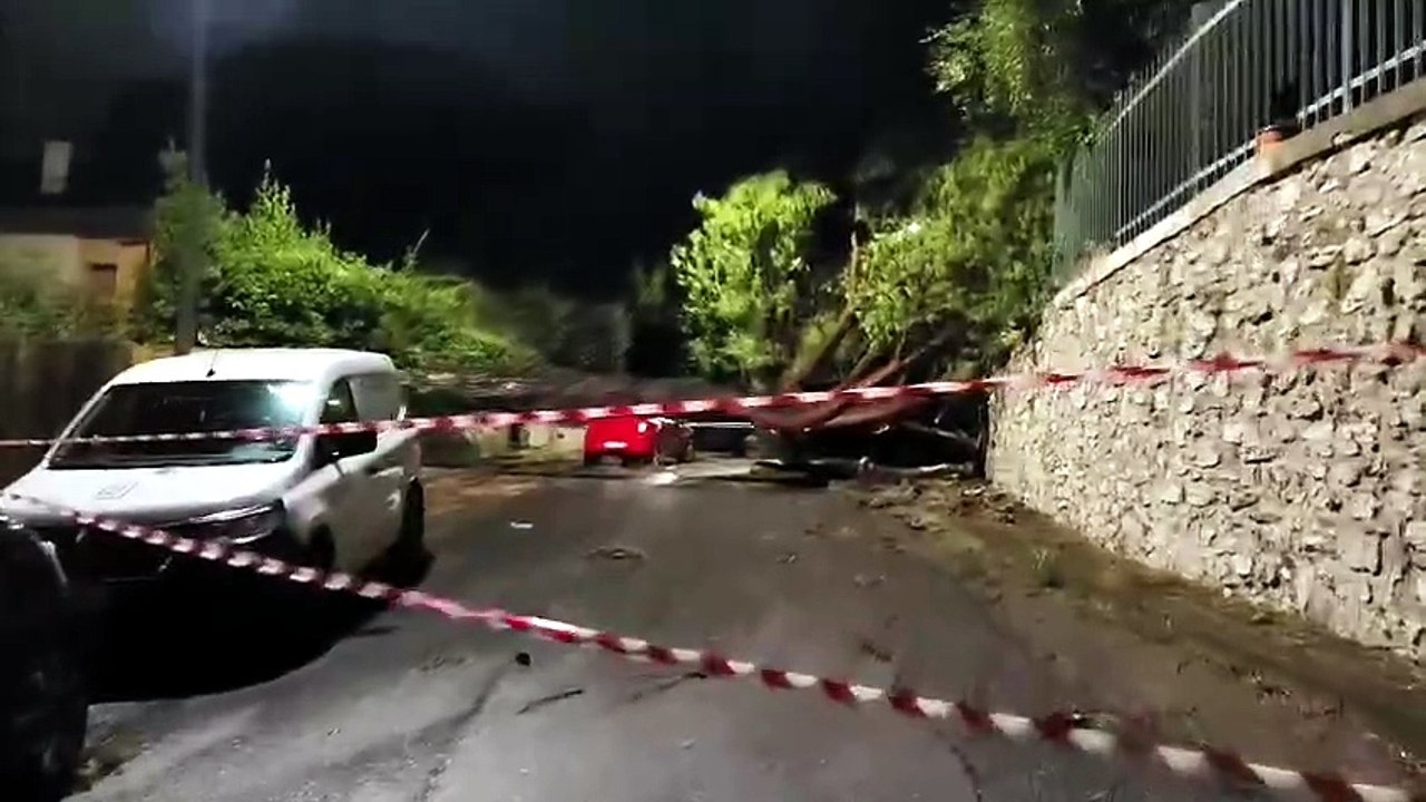 Nubifragio in Toscana, pioggia torrenziale e vento a 110 km/h. Decine di alberi caduti da Livorno a Firenze, rami in FiPiLi. La diretta