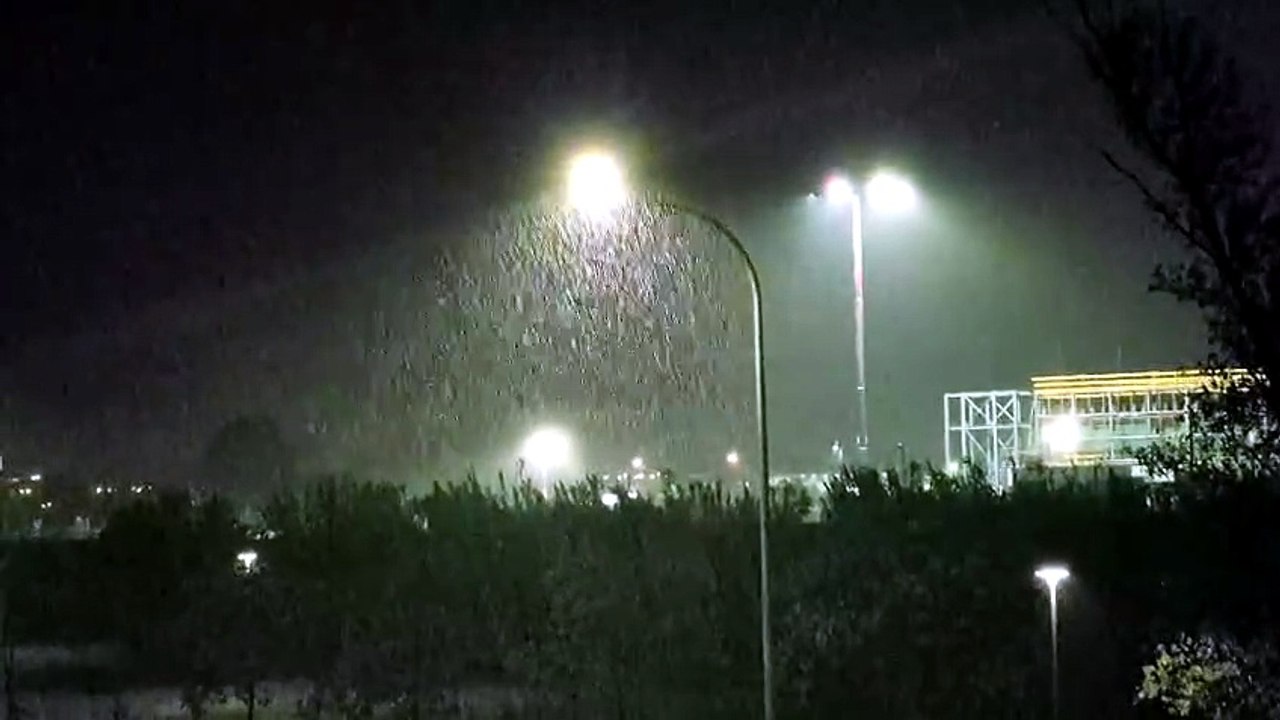 Nubifragio in Toscana, pioggia torrenziale e vento a 110 km/h. Decine di alberi caduti da Livorno a Firenze, rami in FiPiLi. La diretta