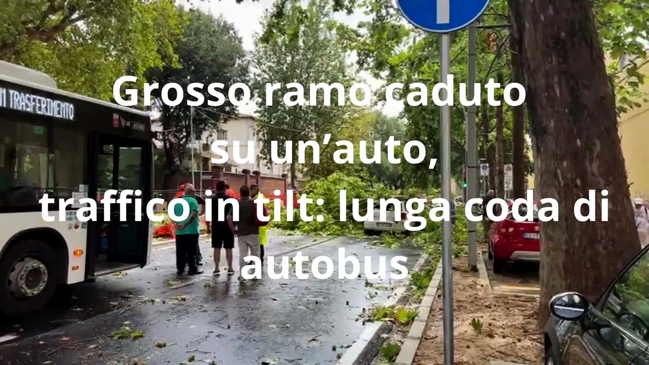 Fortissime raffiche di vento a Firenze: donna colpita da una tegola finisce in ospedale, alberi e rami caduti in strada, danni alle auto