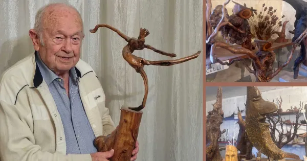 Dalle radici il museo della natura